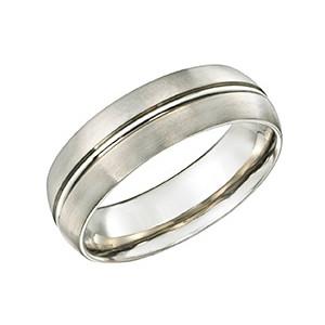 Titanium Ring TR2