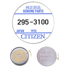 Genuine Citizen Capacitor 295-31