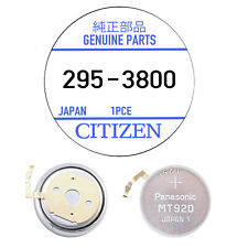 Genuine Citizen Capacitor 295-38