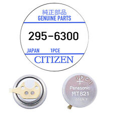 Genuine Citizen Capacitor 295-63