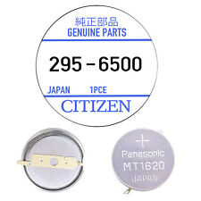 Genuine Citizen Capacitor 295-65